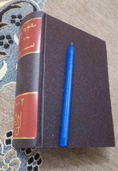 فرهنگ کوچک فرانسه _ فارسی  ( رهنما)