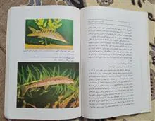 طراحی