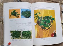 پرورش