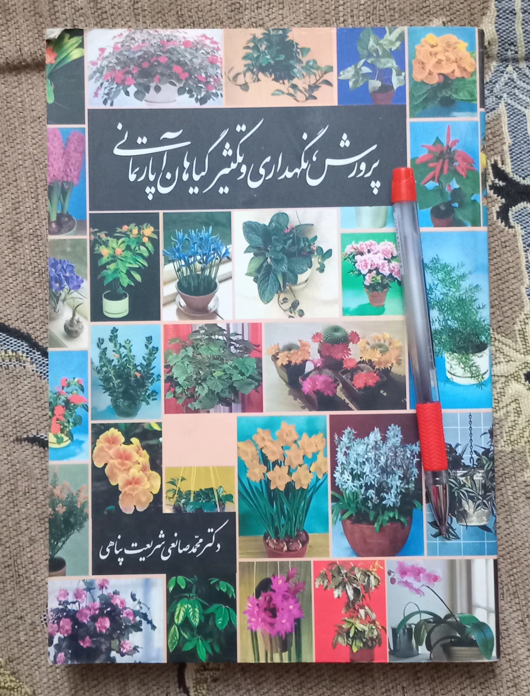 پرورش و نگهداری و تکثیر گیاهان آپارتمانی