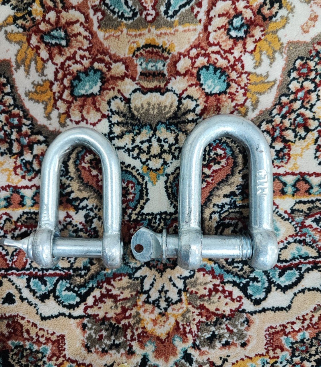 شگل .