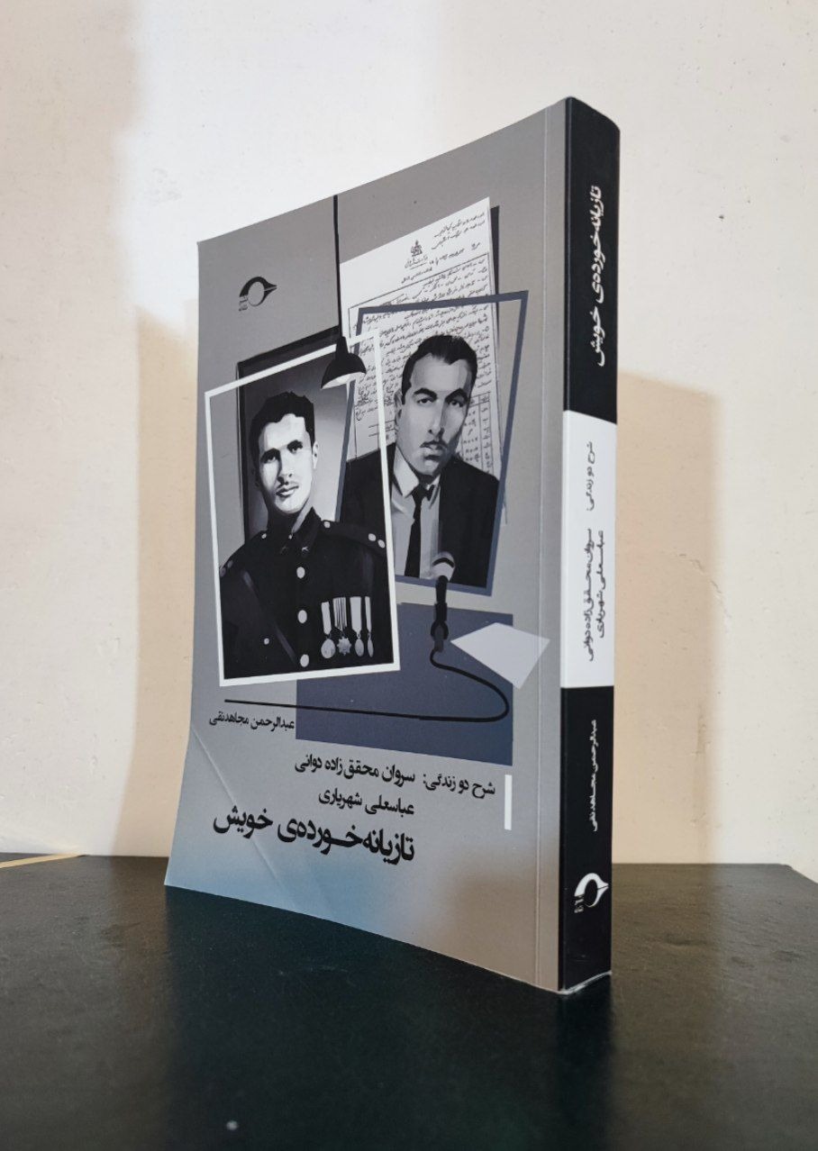 تازیانه خورده خویش