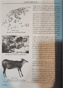شناخت