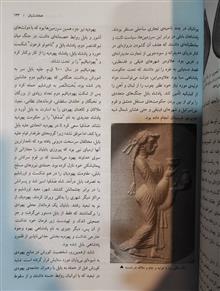 شناخت