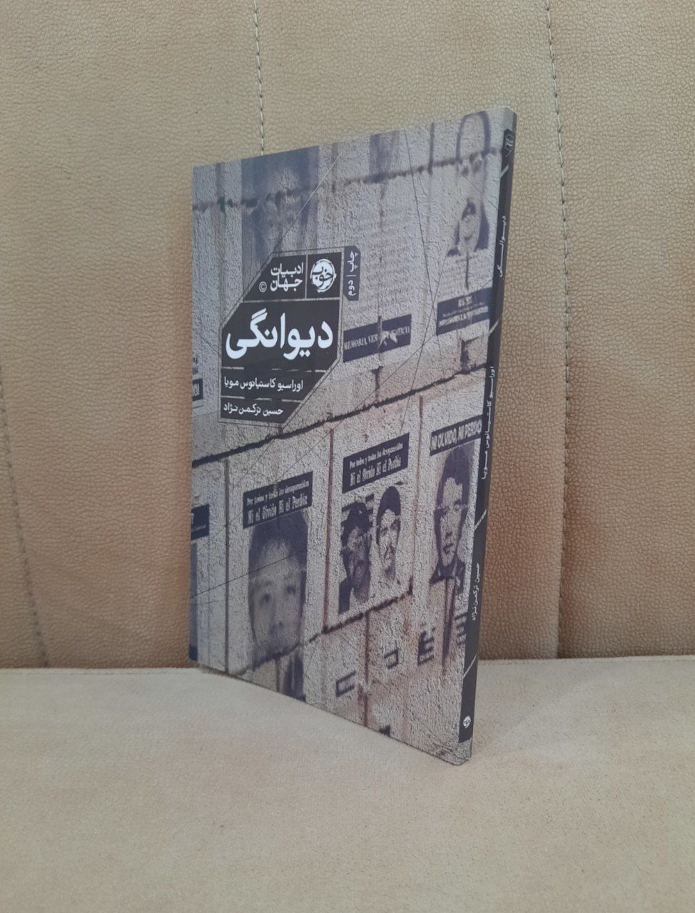 دیوانگی .