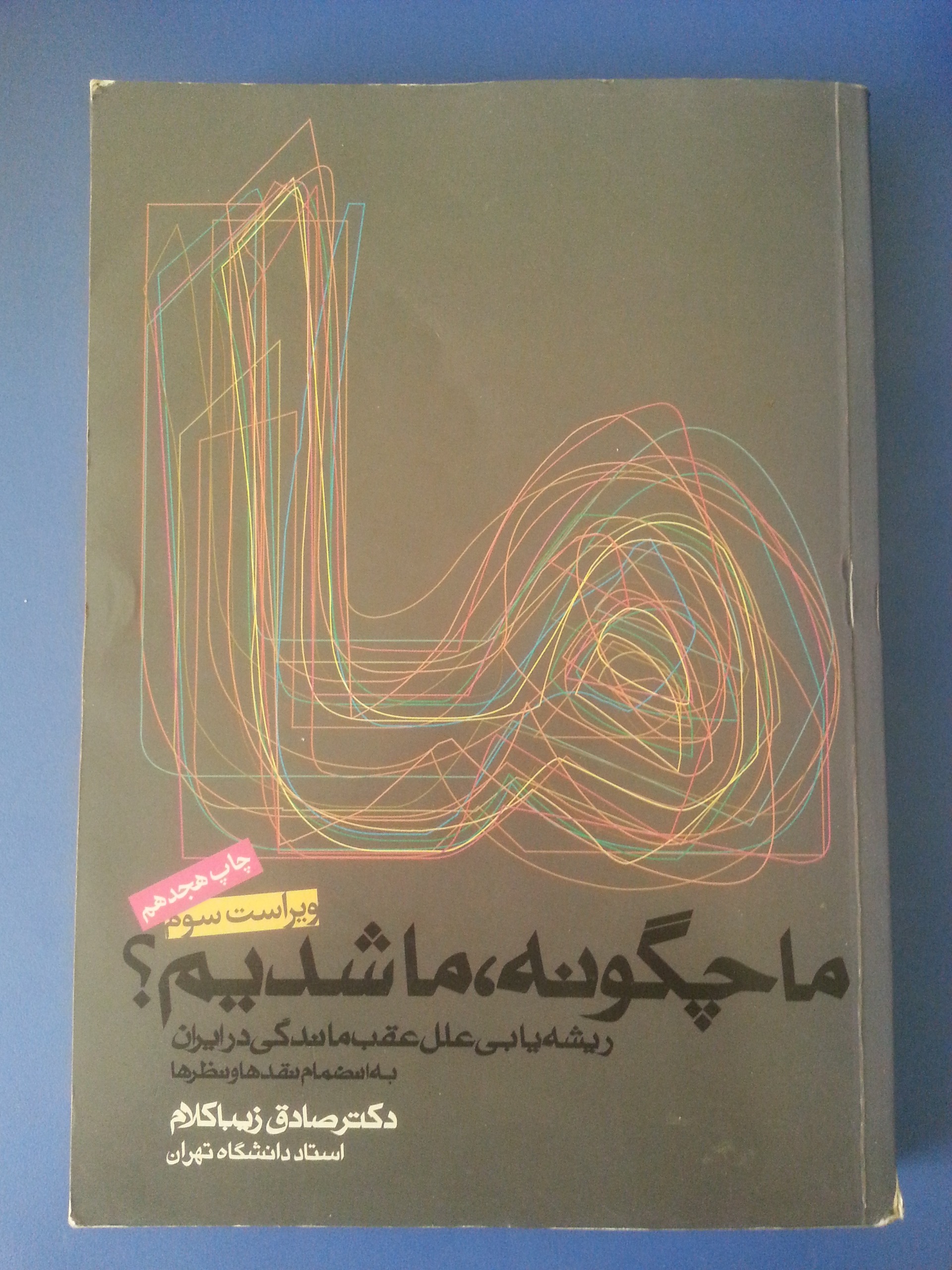 ما چگونه ما شدیم (صادق زیباکلام)