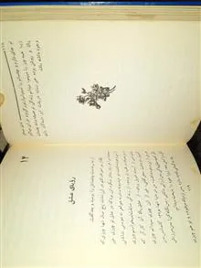 زن