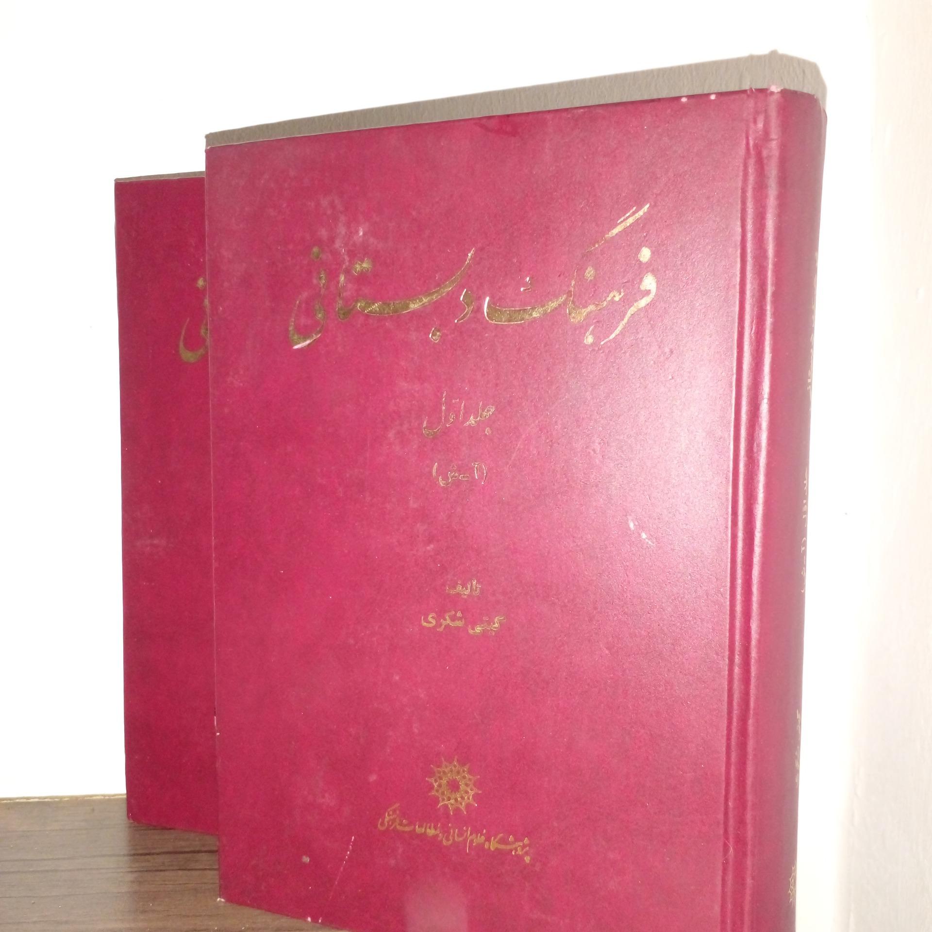 فرهنگ دبستانی