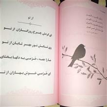 همدم