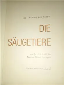 DIE