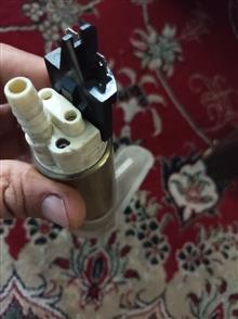 مغزی