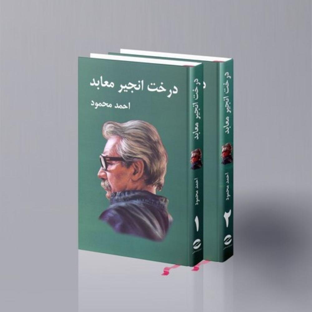 درخت انجیر معابد دوره دو جلدی