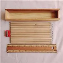 کیس