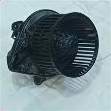 فن