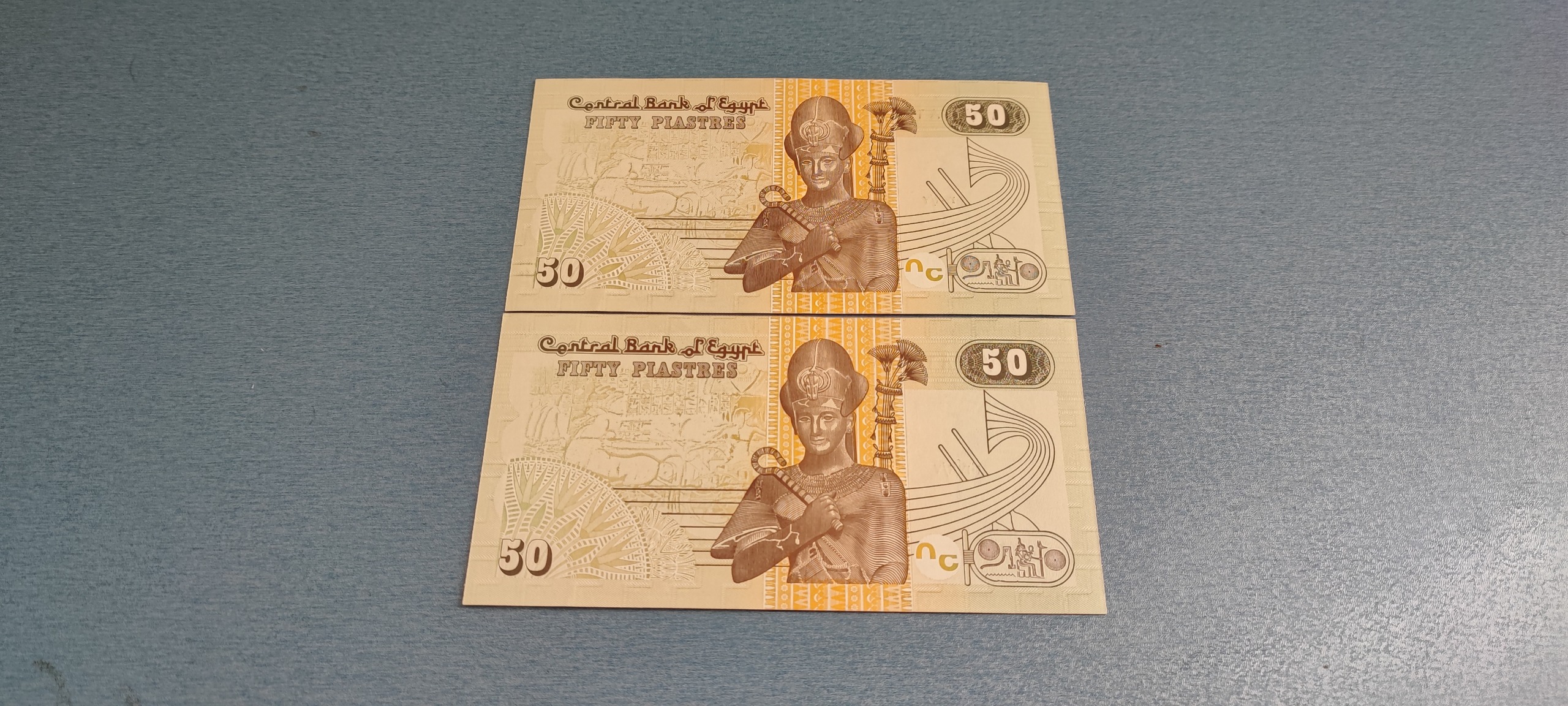 دو عدد اسکناس پنجاه پوند مصر