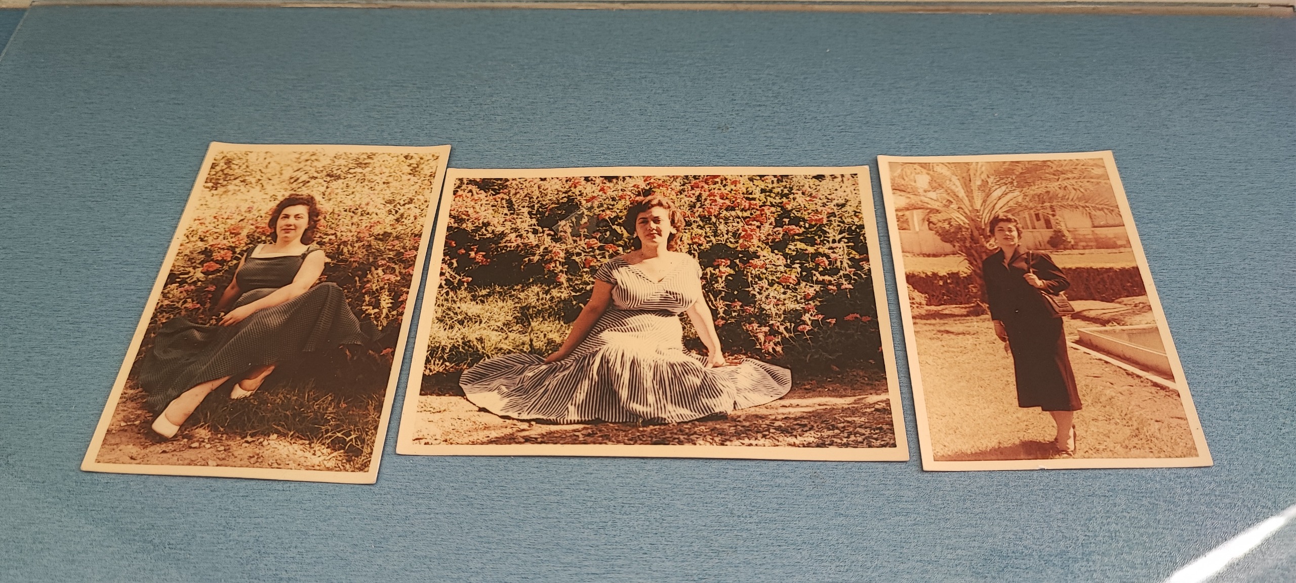 سه عدد عکس دوربینی نفیس و نایاب شمس پهلوی