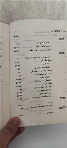 تغذیه