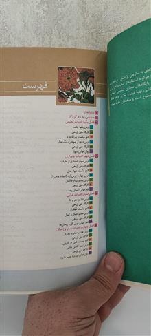 فارسی
