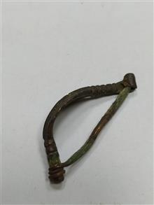 ریش
