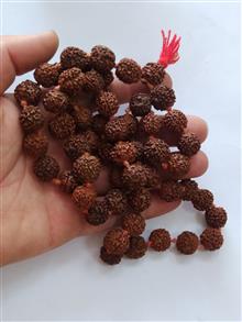 گردن