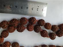 گردن