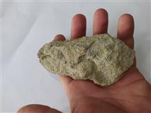 فسیل