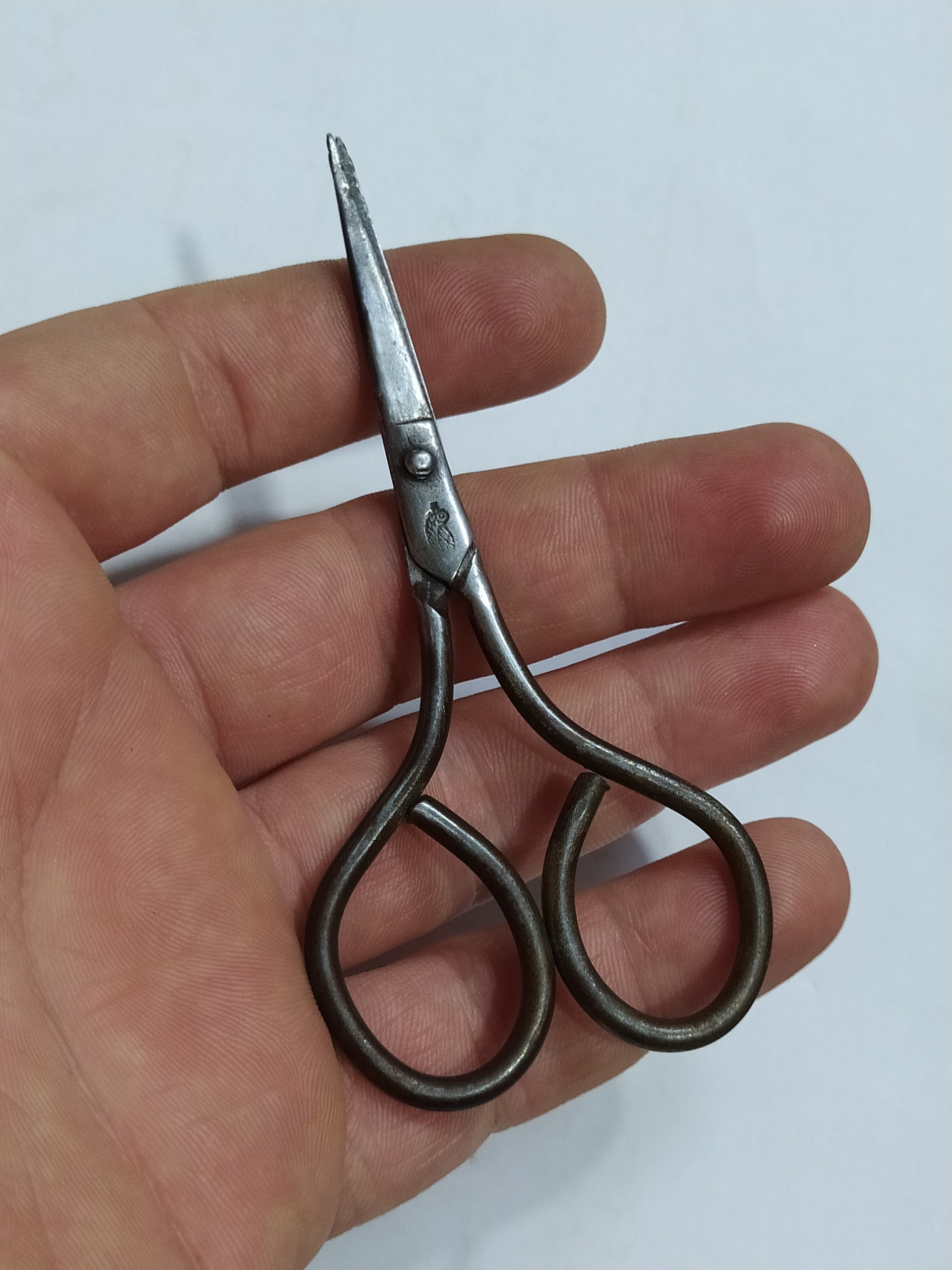 قیچی قدیمی کوچک فولادی پرنده نشان کمیاب