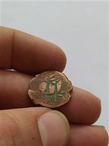 سکه