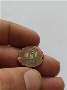 سکه