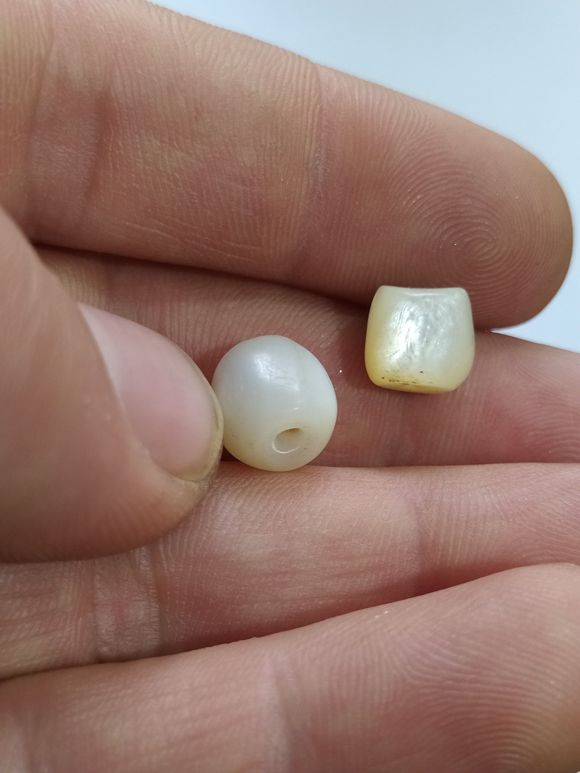 جفت مهره قدیمی سنگی صدفی طبیعی معدنی