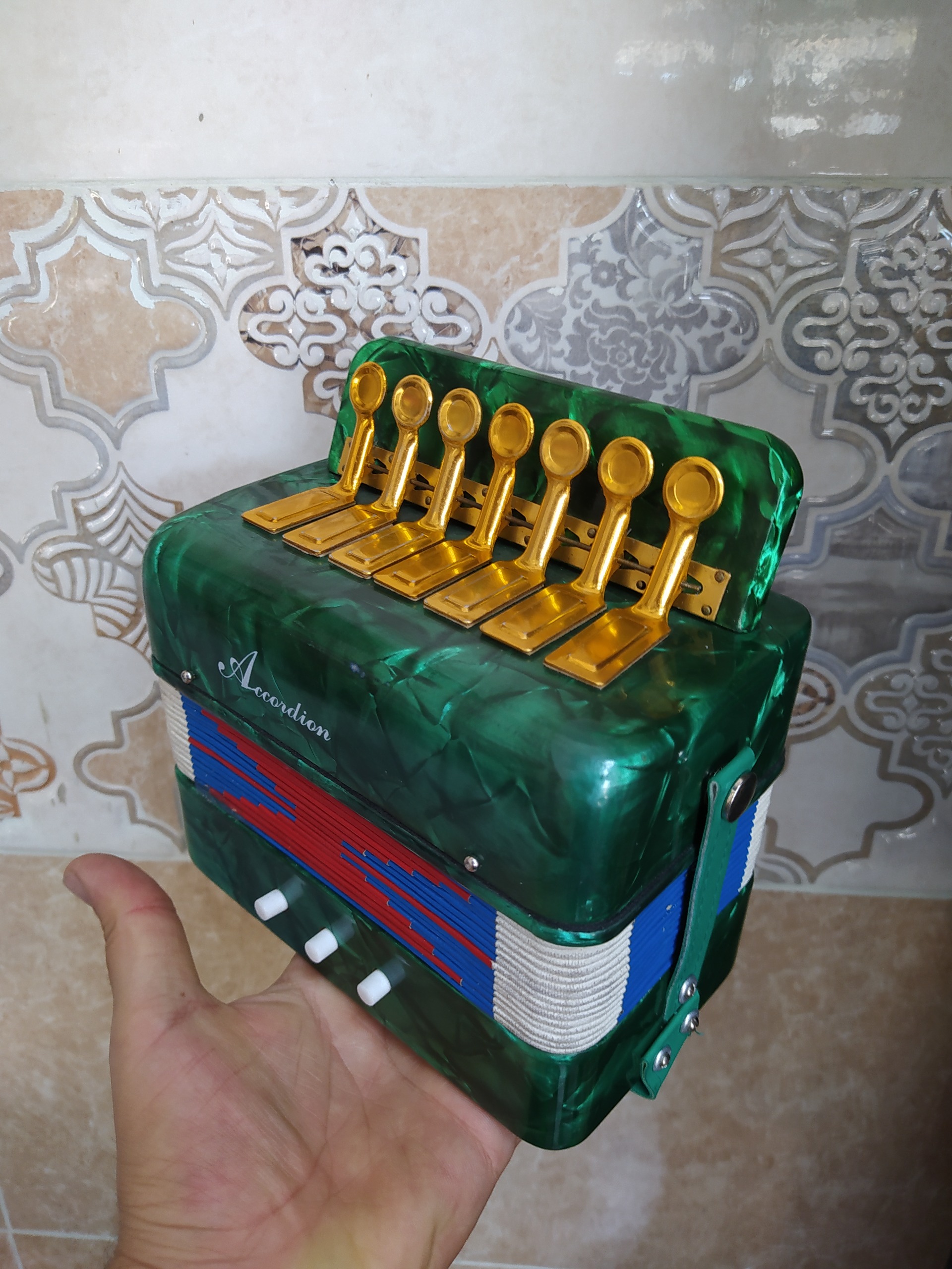مینی آکاردئون گارمان آنتیک دوست داشتنی کمیاب