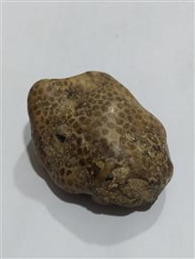 سنگ