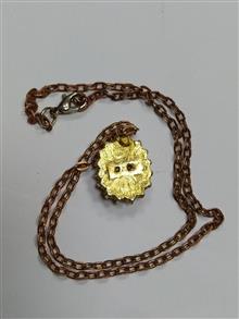 گردن