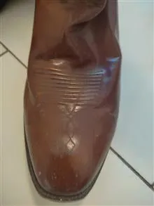 بوت