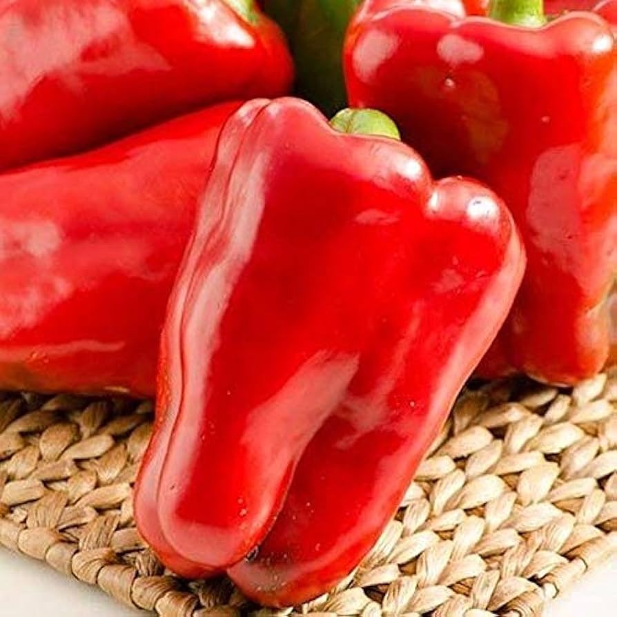 30بذر فلفل دلمه قرمز درشت اصلاح شده باکیفیت
