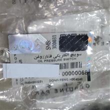 فشنگی