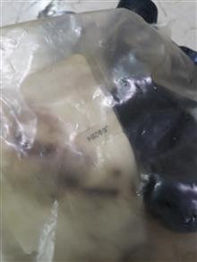 کیت