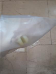 مدادی