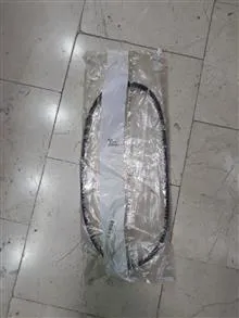 تسمه