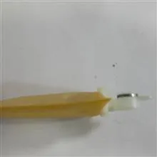 صافی