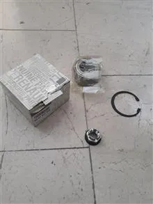 کیت