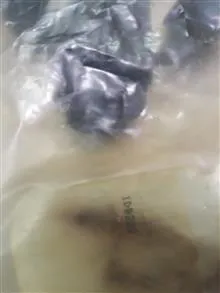 کیت