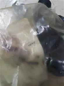 کیت