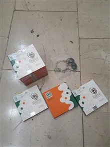 کیت