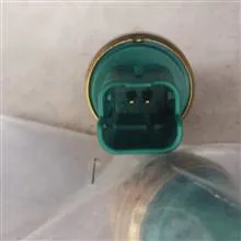 فشنگی