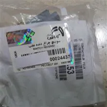 فشنگی