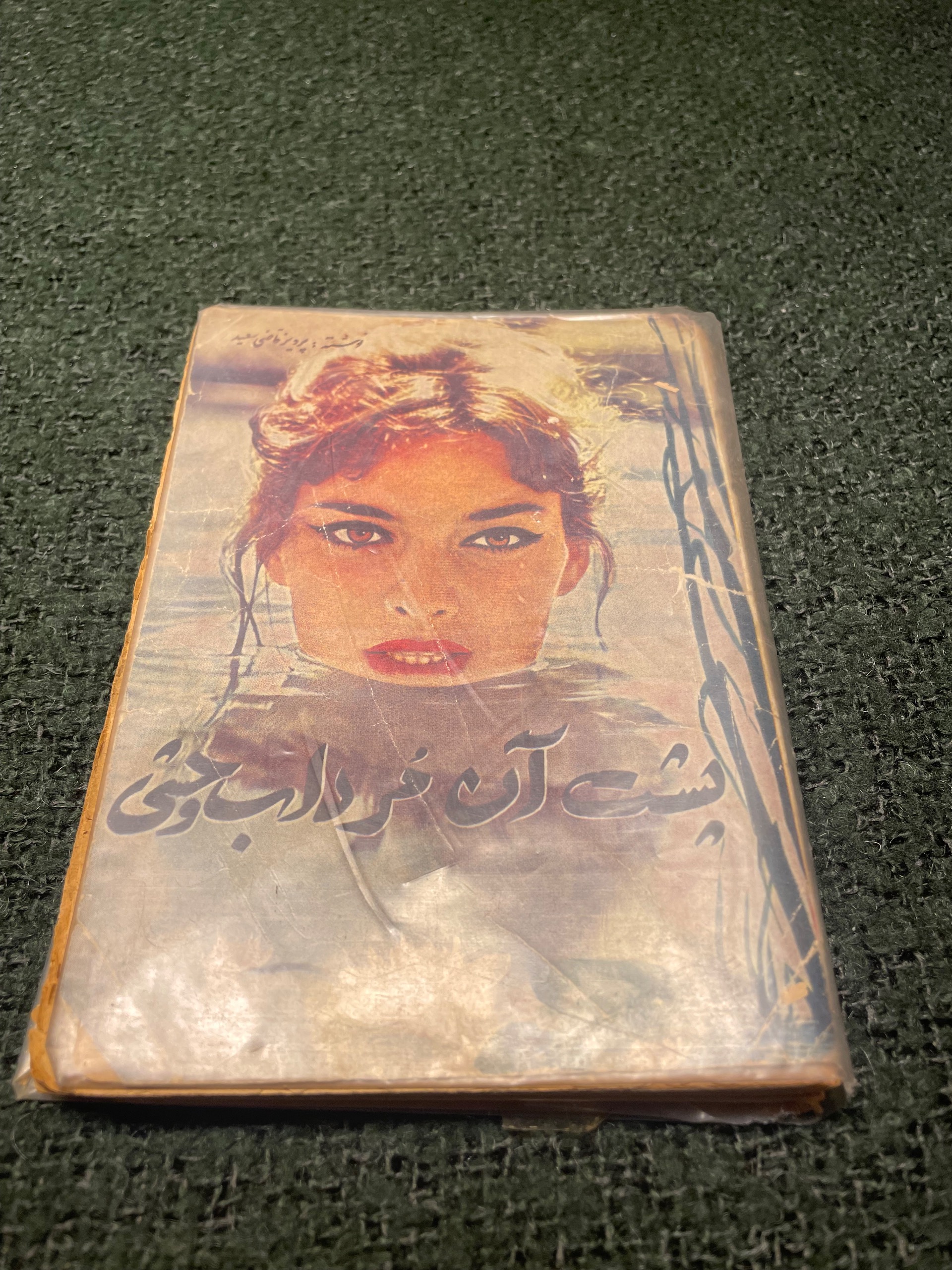 پشت آن مرداب وحشی