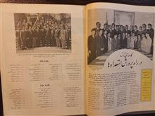 نشریه