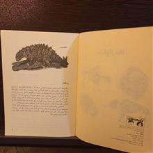 سنگواره