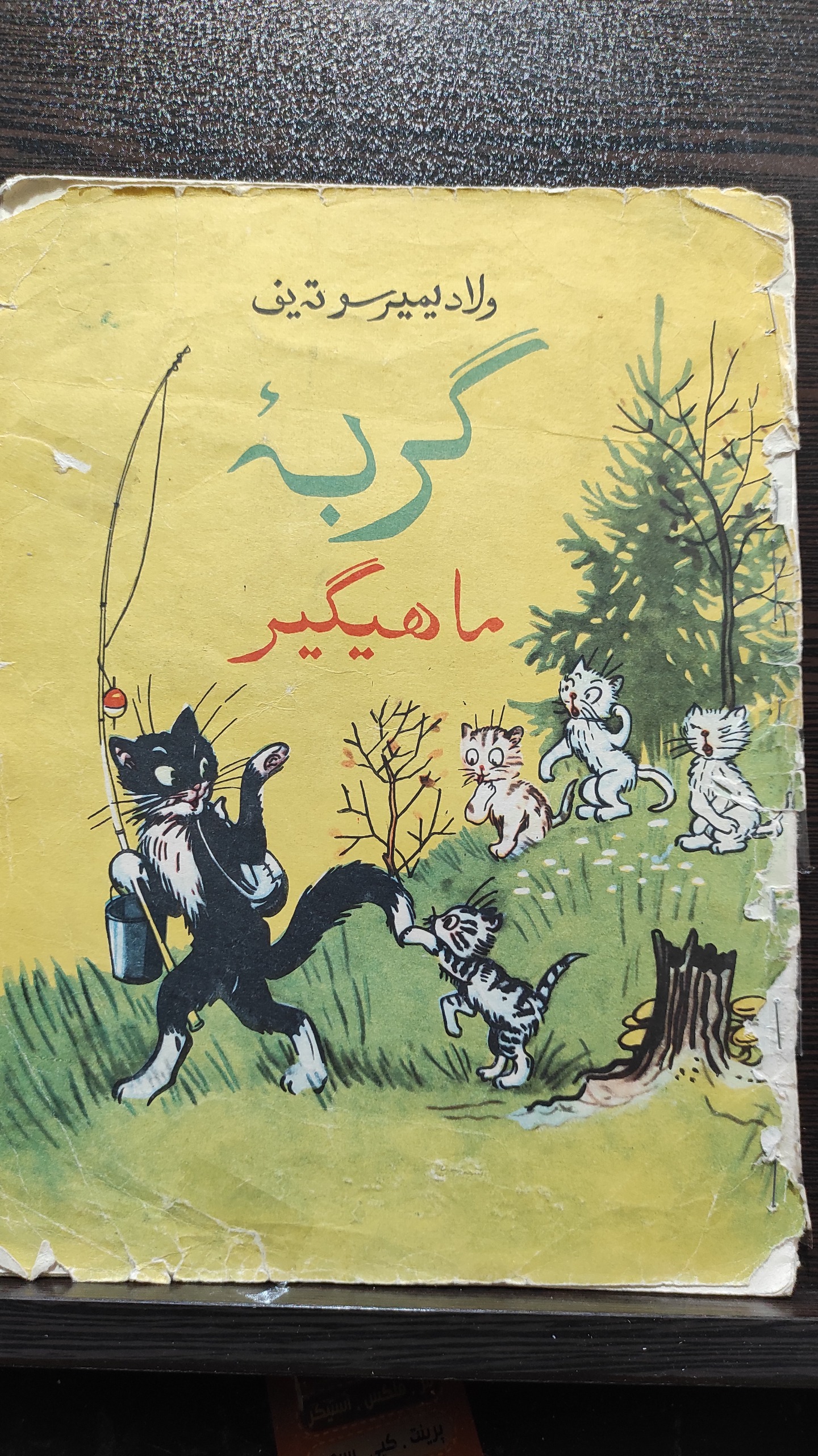 کتاب گربه و ماهیگیر چاپ مسکو دهه 50